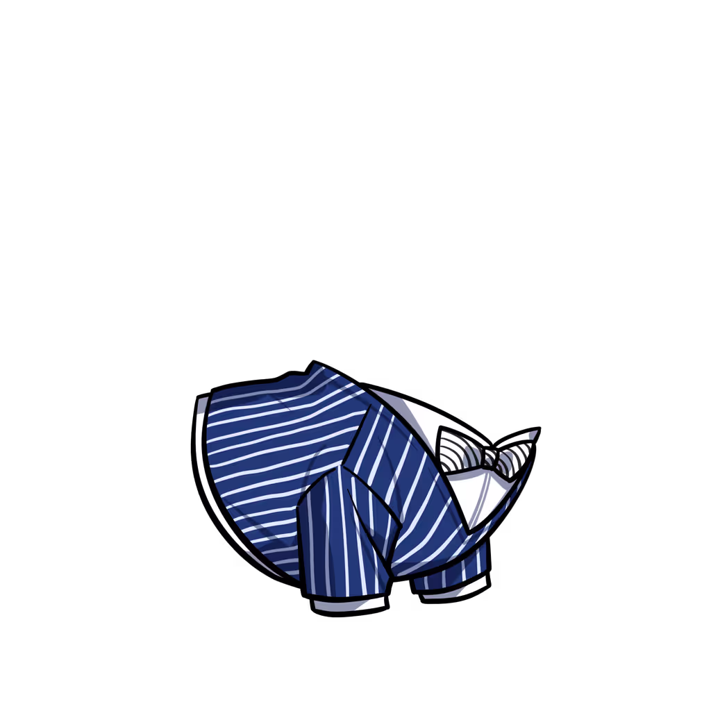 cloth